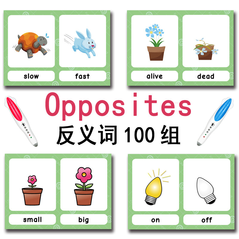 The 100 Groups Opposites Flash - Kids Early Education ulasan dan harga