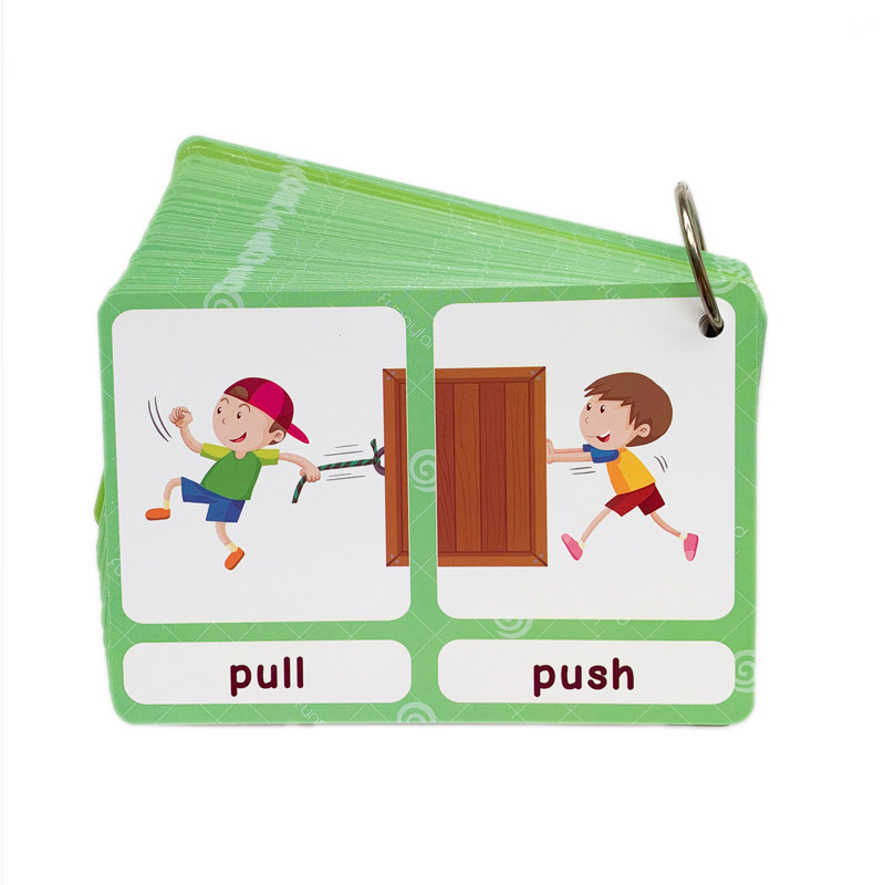 The 100 Groups Opposites Flash - Kids Early Education ulasan dan harga