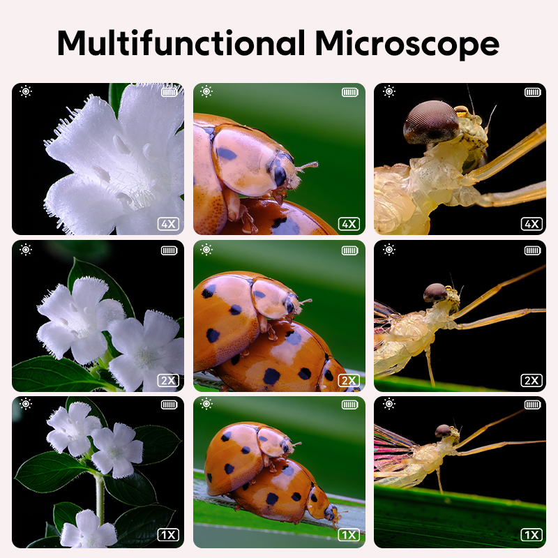 Mini Digital Microscope Portab - Education Kids Definition ulasan dan harga